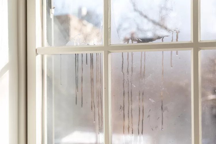 fogged windows repair